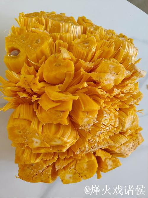 菠萝蜜视频污